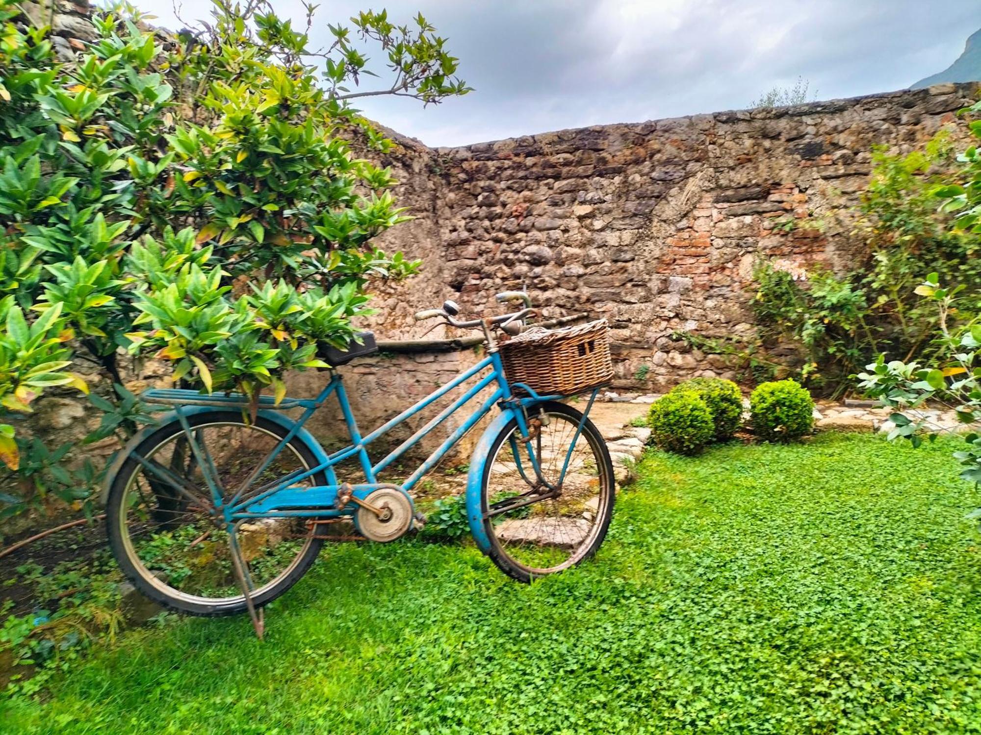 Badia Giulia Prestigious Historical B&B, Camaiore - Adults Only - No Pets Dış mekan fotoğraf
